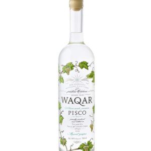 PISCO WAQAR MUSCAT